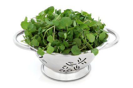 watercress